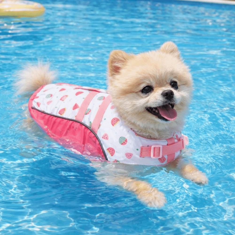 調節可能な犬用ライフジャケット高浮力防水犬用ライフセーバー水 - Life Jacket Buoyancy のレビューと価格